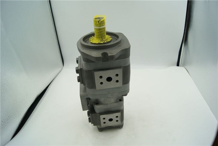 IPV 3/IPV 4/IPV 5/IPV 6/IPVP3/IPVP4/IPVP5/IPVP6/IPVP7/IPVPS5/IPVPS6 Hydraulic Pump IPVP6-125-101 Gear Servo Pump