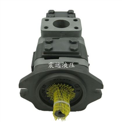 IPV 3/IPV 4/IPV 5/IPV 6/IPVP3/IPVP4/IPVP5/IPVP6/IPVP7/IPVPS5/IPVPS6 hidraulinis siurblys IPVP6-125-101 pavaros servo siurblys