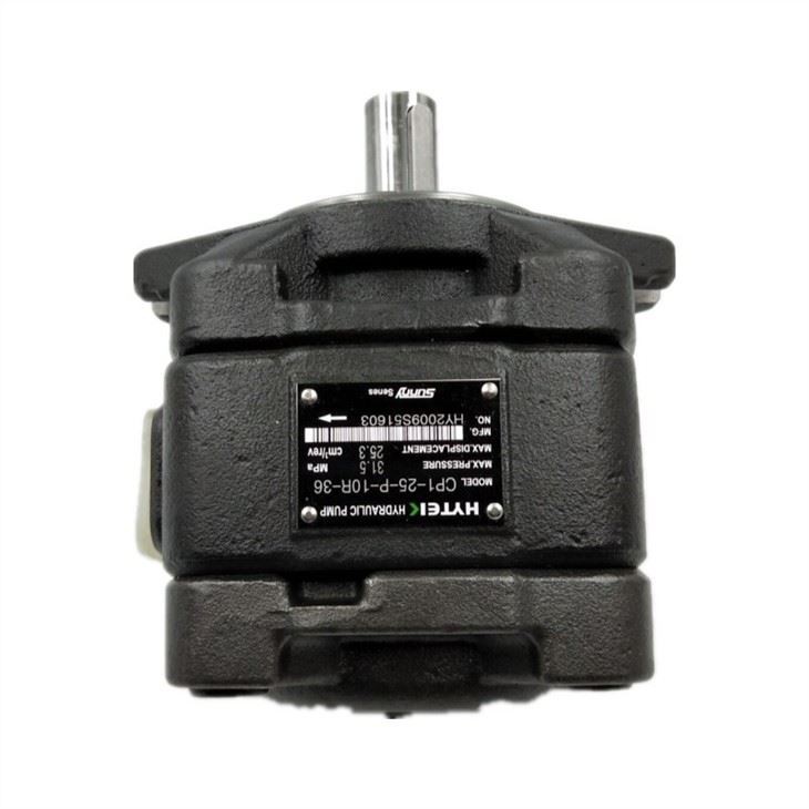 SUNNY CP0 CP1 CP2 Series Hydraulic Internal Gear Pump Injection Moulding Machine Pump CP1-63-P-10R-36